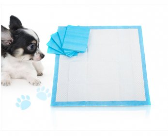 Pet Health Care & Supplements 9SIA4TK2450075-001-ok.jpg