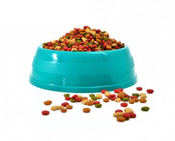 Pet Bowls & Feeders dryer-master-pet-food-imagejpg2297-x-1522-648-kb-jpeg-x-ok.jpg