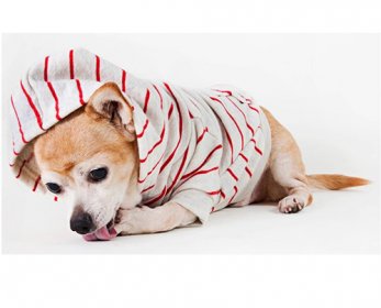 Pet Apparel & Accessories ok...jpg