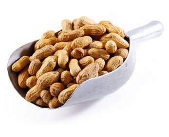 Roasted Peanut in Shell 43ea867c00b6adc1-14.jpg