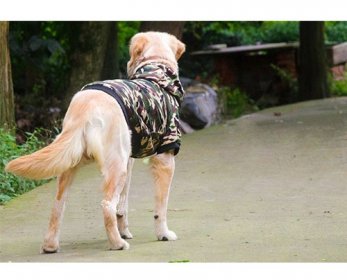 Pet Apparel & Accessories pl4168205-golden_retriever_huskies_samoyeds_dog_clothes_autumn_winter_large_breed_dog_pet_clothes-ok.jpg