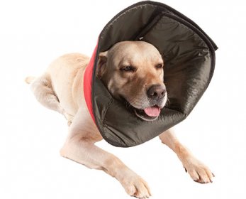 Pet Health Care & Supplements banner06-ok.jpg