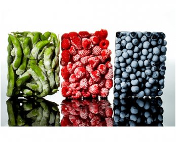 Frozen Food 201101-omag-cold-comfort-600x411-2.jpg