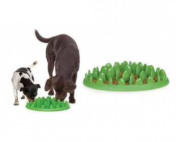 Pet Bowls & Feeders zx5804_alt2_web-ok.jpg