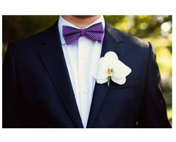 Neck Ties 17.jpg