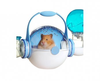 Pet Travel & Outdoors img-thing-ok.jpg