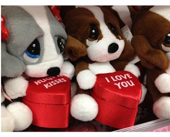 Holliday Gifts & Decorations Valentine-Day-gift-animals-ok.jpg