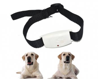 Pet Health Care & Supplements 41Ysiq0dBBL-ok.jpg
