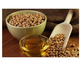 Fat & Oil oleo_soja01-3.jpg
