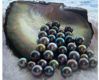 Loose Pearls black-pearls-2-1200-ok.jpg