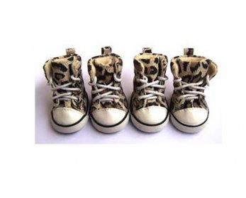 Pet Apparel & Accessories download-ok.jpg