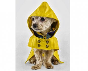 Pet Apparel & Accessories Dog-clothes..7-ok.jpg