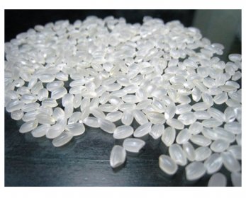 Vietnamese japonica rice VIETNAMESE_JAPONICA_RICE_HIGH_QUALITY-2.jpg