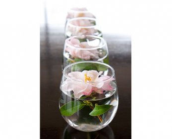 Wedding Decorations & Gifts 9c55fab607b252a6b997d5027d63e8d6-ok.jpg
