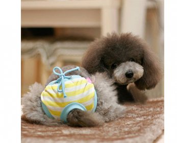 Pet Apparel & Accessories Female-Pet-Dog-Puppy-Sanitary-Cute-Short-Dog-Panty-Pant-Striped-Diaper-Underwear-For-Free-Shipping-ok.jpg