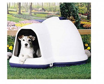 Pet Cages, Carriers & Houses 06650031-ok.jpg