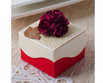 Packaging Types cod.2067-package-ok.jpg