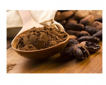 cacao-11.jpg