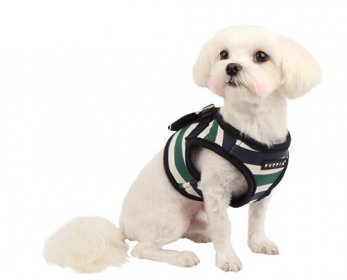 Pet Collars & Leashes dog-harness-vest-puppia-green-1-ok.jpg