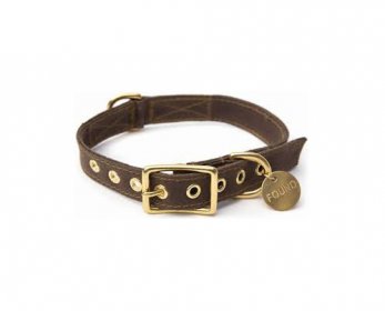 Pet Collars & Leashes download-ok.jpg