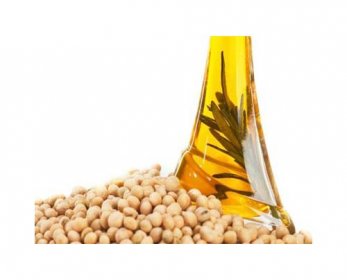 Fat & Oil 25-4.jpg