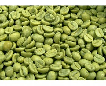 Green coffee bean green_coffee_bean_extract_study-4.jpg