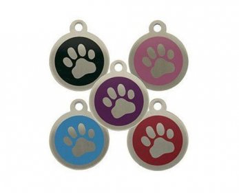 Pet Collars & Leashes 41bFvk-vI8L-ok.jpg