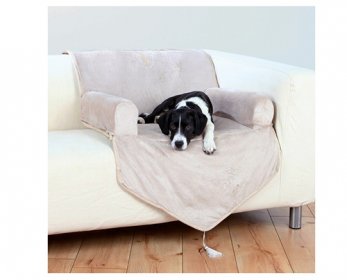 Pet Beds & Accessories canape-chien-en-suedine-ok.jpg