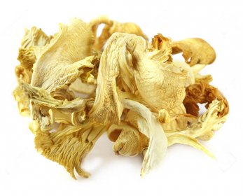 Dried oyster mushroom 11506510-Dried-oyster-mushroom-over-white-background-Stock-Photo-9.jpg