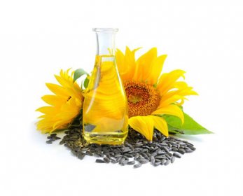 Fat & Oil oleo-de-girassol-beneficios-e-propriedades-1-2.jpg