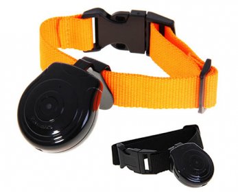 Automatic-Pet-Collar-Digital-USB-Camera-font-b-DVR-b-font-Pet-s-eyes-auto-interval-ok.jpg