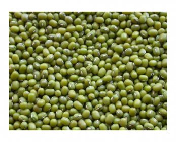 Mung bean mung-beans1-5.jpg