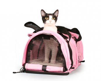 Pet Travel & Outdoors softpink-pet-carrier-ok.jpg