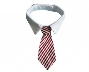 Neck Ties 38.jpg