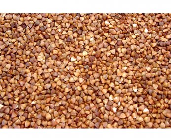 Buckwheat czqmm-58.jpg