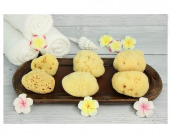 Personal Hygiene Sea-Sponge-ok.jpg