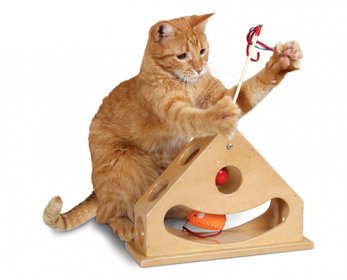 Pet Toys 1526037-ok.jpg