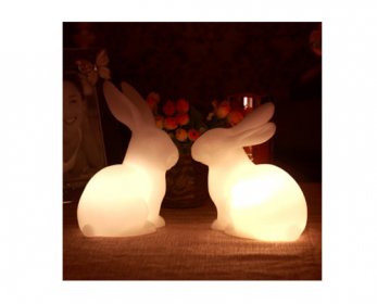 Lucky-rabbit-home-decoration-electronic-unique-gift-a-pair-of1-300x300-ok.jpg