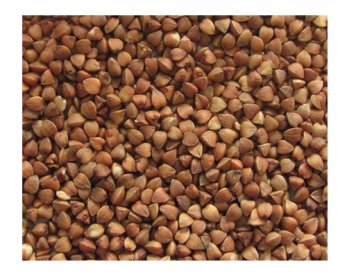 2011_new_crop_roasted_buckwheat_groats-8.jpg