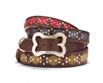 2-dog-shrink-collars-0707_xlg-ok.jpg