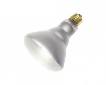Lighting Bulbs & Tubes 15.jpg