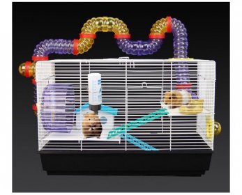Pet Cages, Carriers & Houses 1256_9206_F-ok.jpg