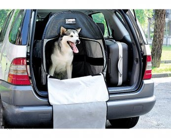 Pet Travel & Outdoors ERDB_03Z-ok.jpg