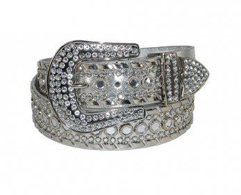 Belt Accessories 1669449-ok.jpg