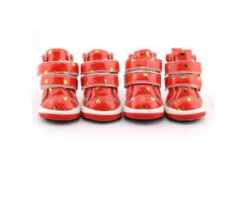 Pet Apparel & Accessories images-1-ok.jpg
