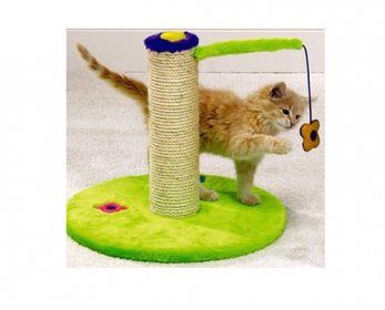 Pet Toys tumblr_inline_mzcn06jGto1rxnefk-ok.jpg